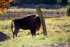 Killikus&reg; Fotographie